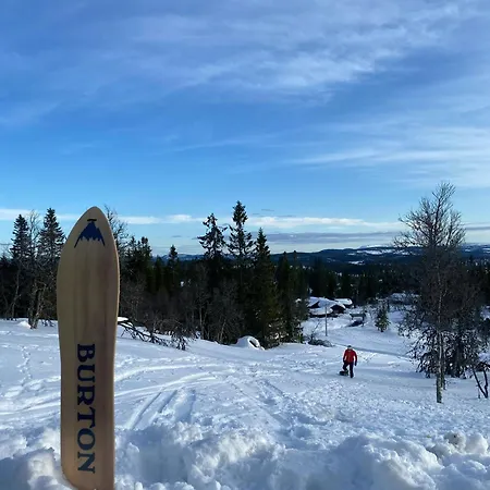 New With Mountain View In Bittermark, * Trysil