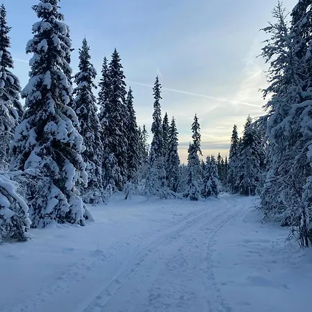 New With Mountain View In Bittermark, * Trysil
