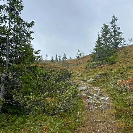 New With Mountain View In Bittermark, Hébergement de vacances Trysil
