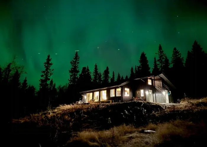 Σπίτι διακοπών New With Mountain View In Bittermark, Trysil